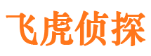 雁塔市侦探